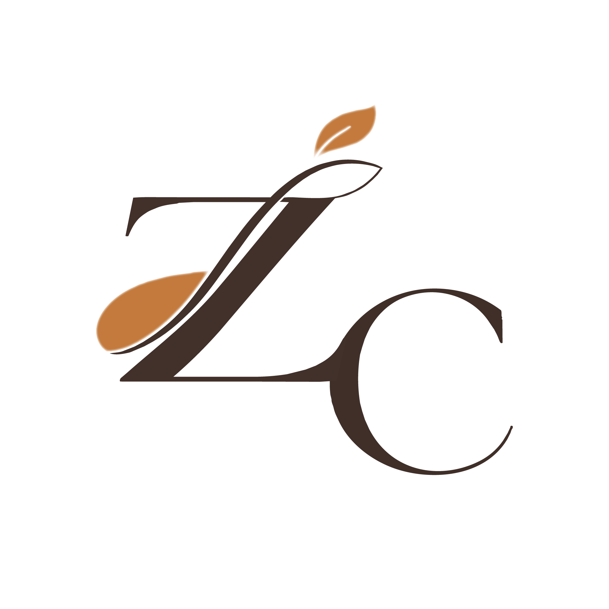 Zaad Conception